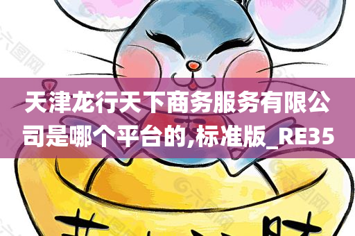 天津龙行天下商务服务有限公司是哪个平台的,标准版_RE35