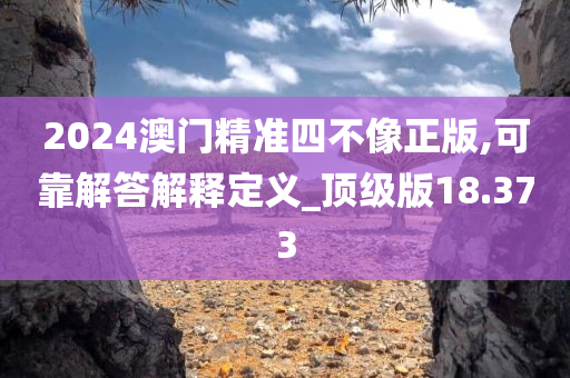 2024澳门精准四不像正版,可靠解答解释定义_顶级版18.373