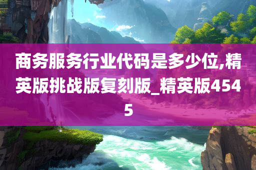 商务服务行业代码是多少位,精英版挑战版复刻版_精英版4545