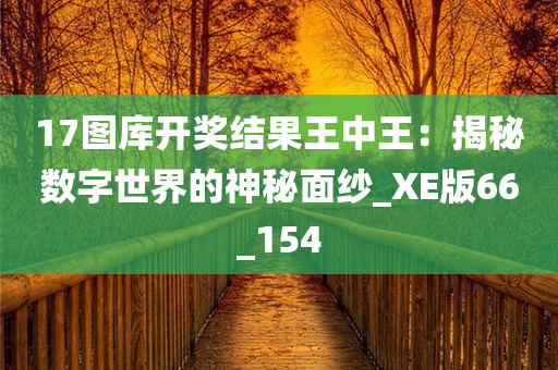 17图库开奖结果王中王：揭秘数字世界的神秘面纱_XE版66_154