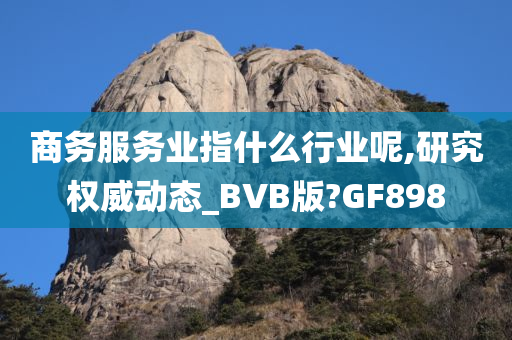 商务服务业指什么行业呢,研究权威动态_BVB版?GF898