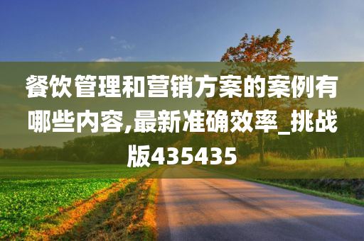 餐饮管理和营销方案的案例有哪些内容,最新准确效率_挑战版435435