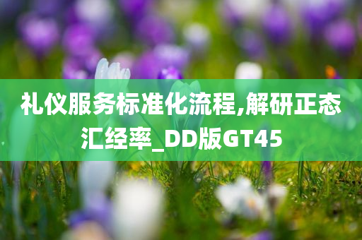 礼仪服务标准化流程,解研正态汇经率_DD版GT45