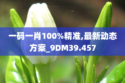 一码一肖100%精准,最新动态方案_9DM39.457