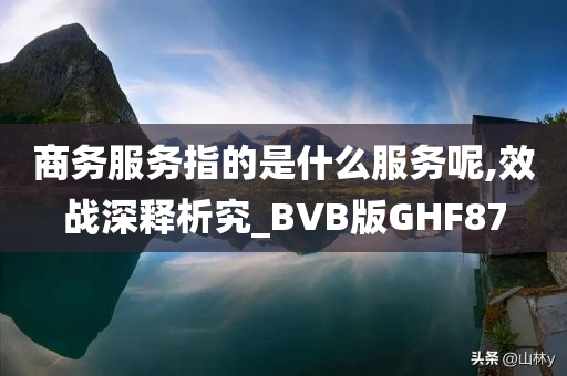 商务服务指的是什么服务呢,效战深释析究_BVB版GHF87