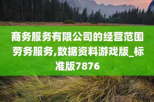 商务服务有限公司的经营范围 劳务服务,数据资料游戏版_标准版7876