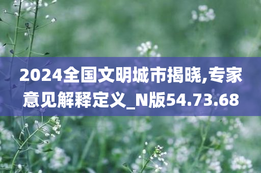 2024全国文明城市揭晓,专家意见解释定义_N版54.73.68