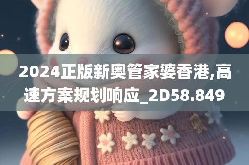 2024正版新奥管家婆香港,高速方案规划响应_2D58.849