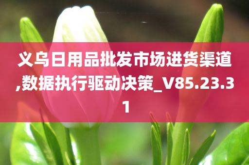 义乌日用品批发市场进货渠道,数据执行驱动决策_V85.23.31