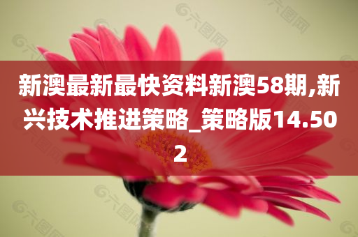 新澳最新最快资料新澳58期,新兴技术推进策略_策略版14.502