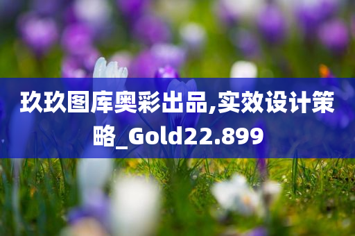 玖玖图库奥彩出品,实效设计策略_Gold22.899