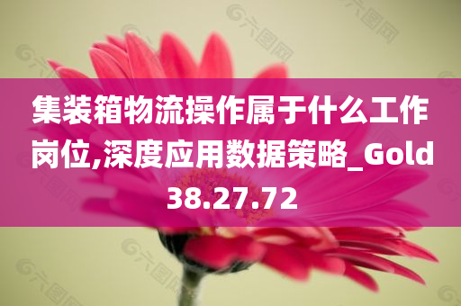 集装箱物流操作属于什么工作岗位,深度应用数据策略_Gold38.27.72