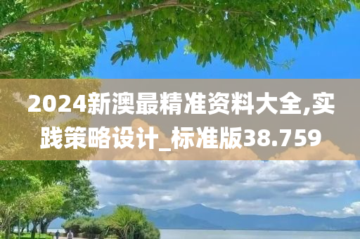 2024新澳最精准资料大全,实践策略设计_标准版38.759