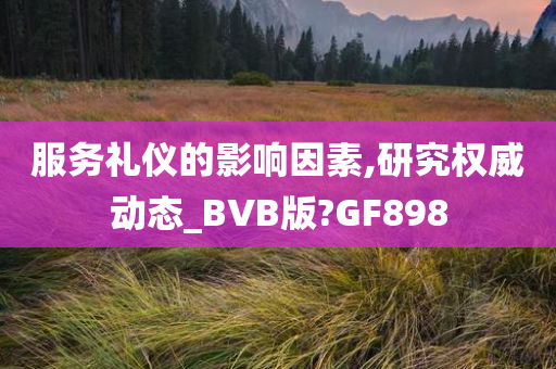 服务礼仪的影响因素,研究权威动态_BVB版?GF898