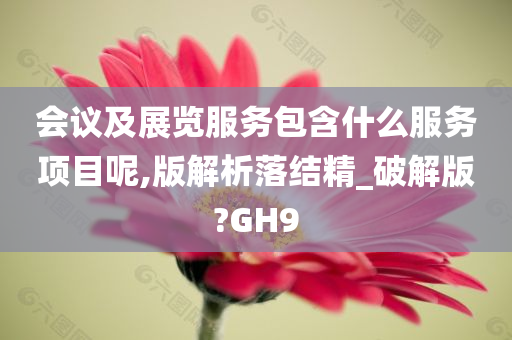 会议及展览服务包含什么服务项目呢,版解析落结精_破解版?GH9