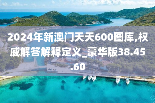 2024年新澳门天天600图库,权威解答解释定义_豪华版38.45.60