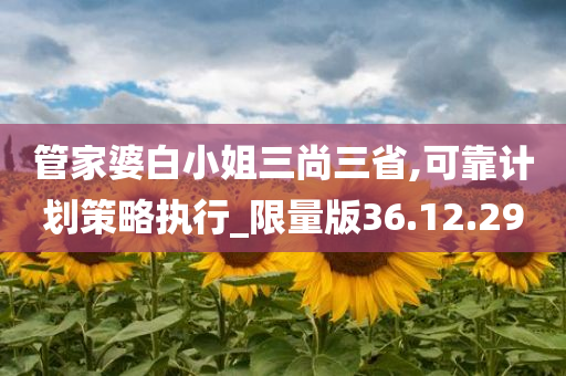 管家婆白小姐三尚三省,可靠计划策略执行_限量版36.12.29