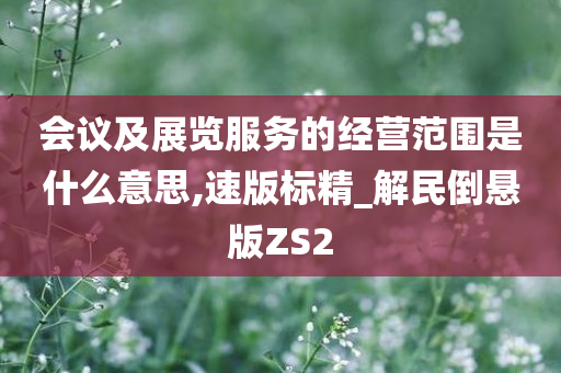 会议及展览服务的经营范围是什么意思,速版标精_解民倒悬版ZS2