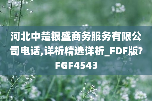 河北中楚银盛商务服务有限公司电话,详析精选详析_FDF版?FGF4543