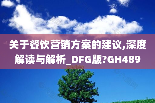 关于餐饮营销方案的建议,深度解读与解析_DFG版?GH489