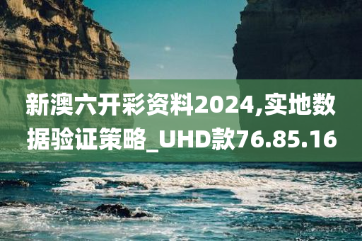 新澳六开彩资料2024,实地数据验证策略_UHD款76.85.16