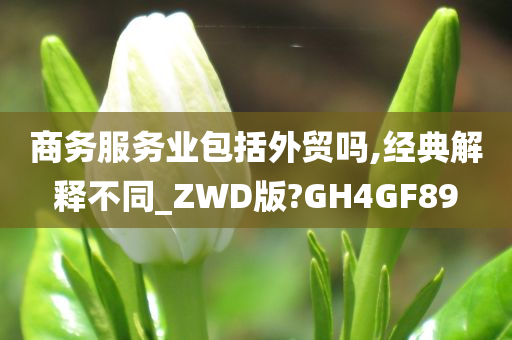 商务服务业包括外贸吗,经典解释不同_ZWD版?GH4GF89