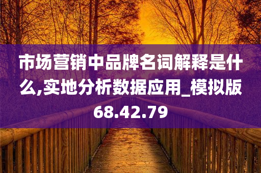 市场营销中品牌名词解释是什么,实地分析数据应用_模拟版68.42.79