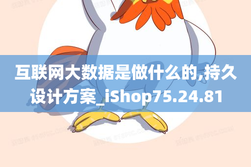 互联网大数据是做什么的,持久设计方案_iShop75.24.81