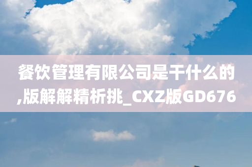 餐饮管理有限公司是干什么的,版解解精析挑_CXZ版GD676