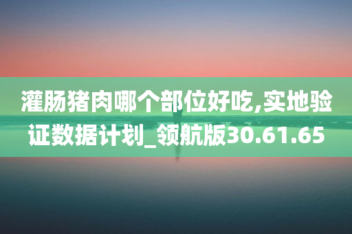 灌肠猪肉哪个部位好吃,实地验证数据计划_领航版30.61.65