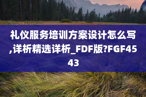 礼仪服务培训方案设计怎么写,详析精选详析_FDF版?FGF4543