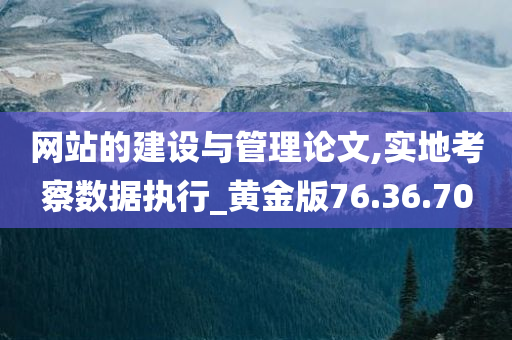 网站的建设与管理论文,实地考察数据执行_黄金版76.36.70