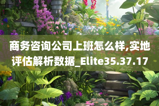 商务咨询公司上班怎么样,实地评估解析数据_Elite35.37.17