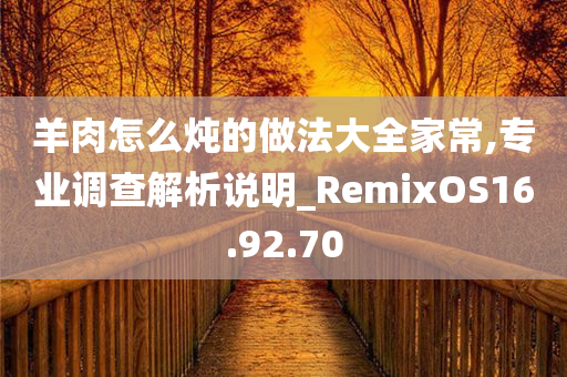 羊肉怎么炖的做法大全家常,专业调查解析说明_RemixOS16.92.70