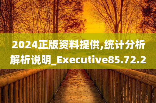 2024正版资料提供,统计分析解析说明_Executive85.72.20