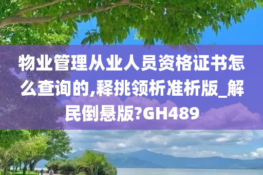 物业管理从业人员资格证书怎么查询的,释挑领析准析版_解民倒悬版?GH489