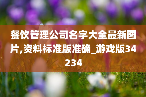 餐饮管理公司名字大全最新图片,资料标准版准确_游戏版34234