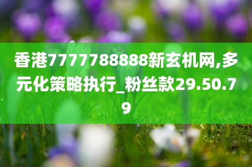 香港7777788888新玄机网,多元化策略执行_粉丝款29.50.79