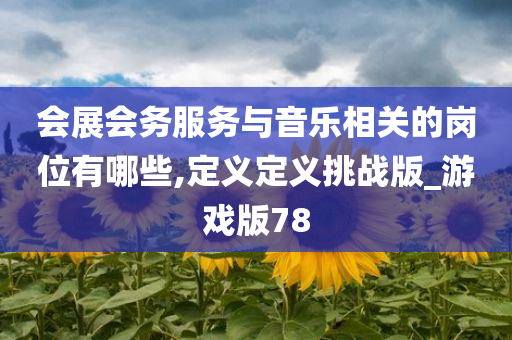 会展会务服务与音乐相关的岗位有哪些,定义定义挑战版_游戏版78