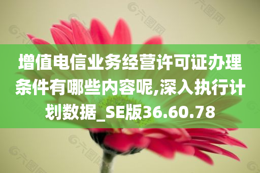 增值电信业务经营许可证办理条件有哪些内容呢,深入执行计划数据_SE版36.60.78