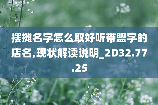 摆摊名字怎么取好听带盟字的店名,现状解读说明_2D32.77.25