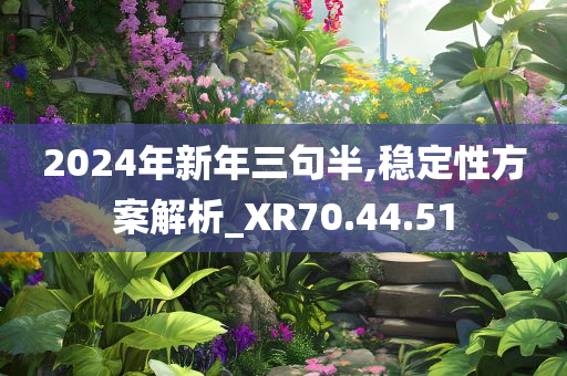 2024年新年三句半,稳定性方案解析_XR70.44.51