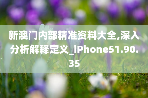 新澳门内部精准资料大全,深入分析解释定义_iPhone51.90.35