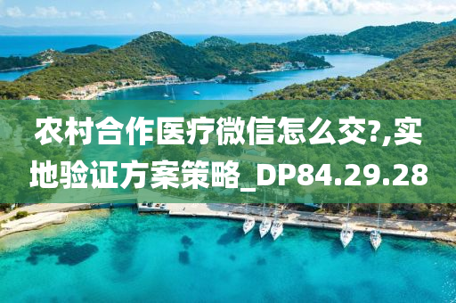 农村合作医疗微信怎么交?,实地验证方案策略_DP84.29.28