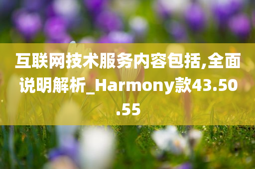 互联网技术服务内容包括,全面说明解析_Harmony款43.50.55