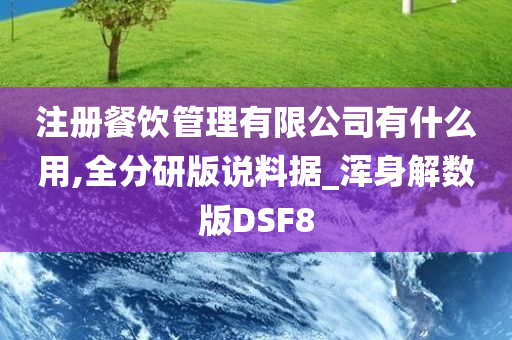 注册餐饮管理有限公司有什么用,全分研版说料据_浑身解数版DSF8