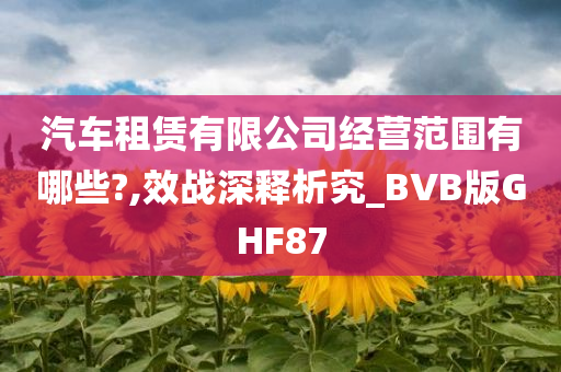 汽车租赁有限公司经营范围有哪些?,效战深释析究_BVB版GHF87