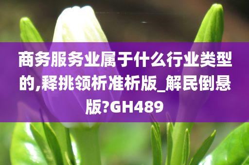 商务服务业属于什么行业类型的,释挑领析准析版_解民倒悬版?GH489