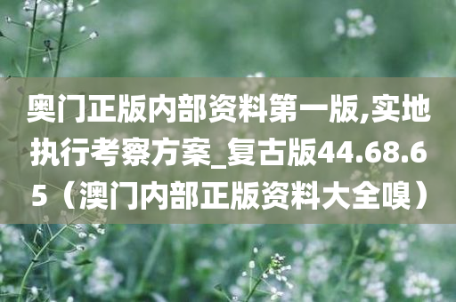 奥门正版内部资料第一版,实地执行考察方案_复古版44.68.65（澳门内部正版资料大全嗅）