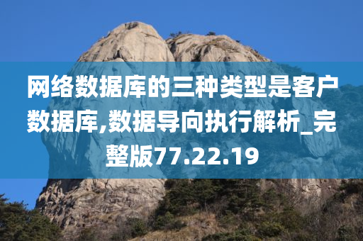 网络数据库的三种类型是客户数据库,数据导向执行解析_完整版77.22.19